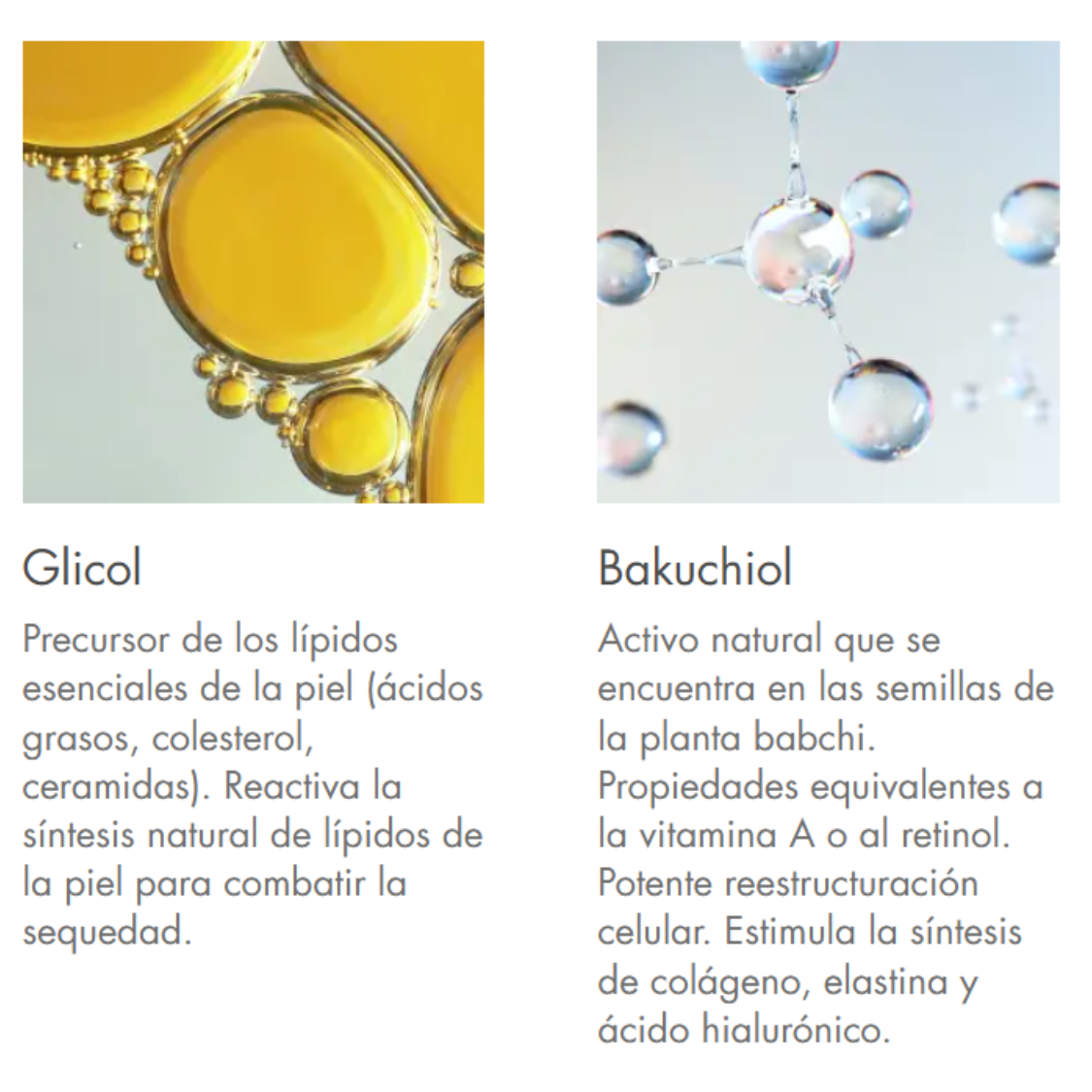 dermabsolu